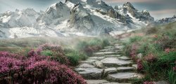 How to spend summer in the Austrian Alps